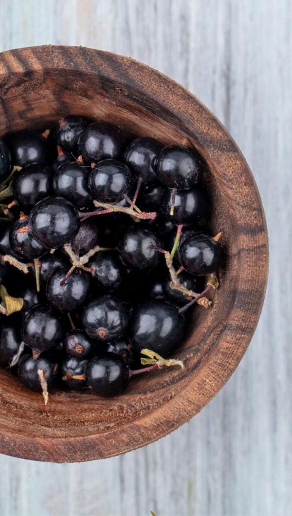 Black-currant