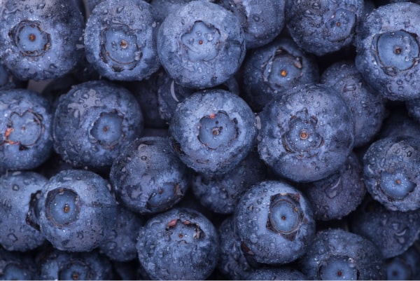 Blueberry